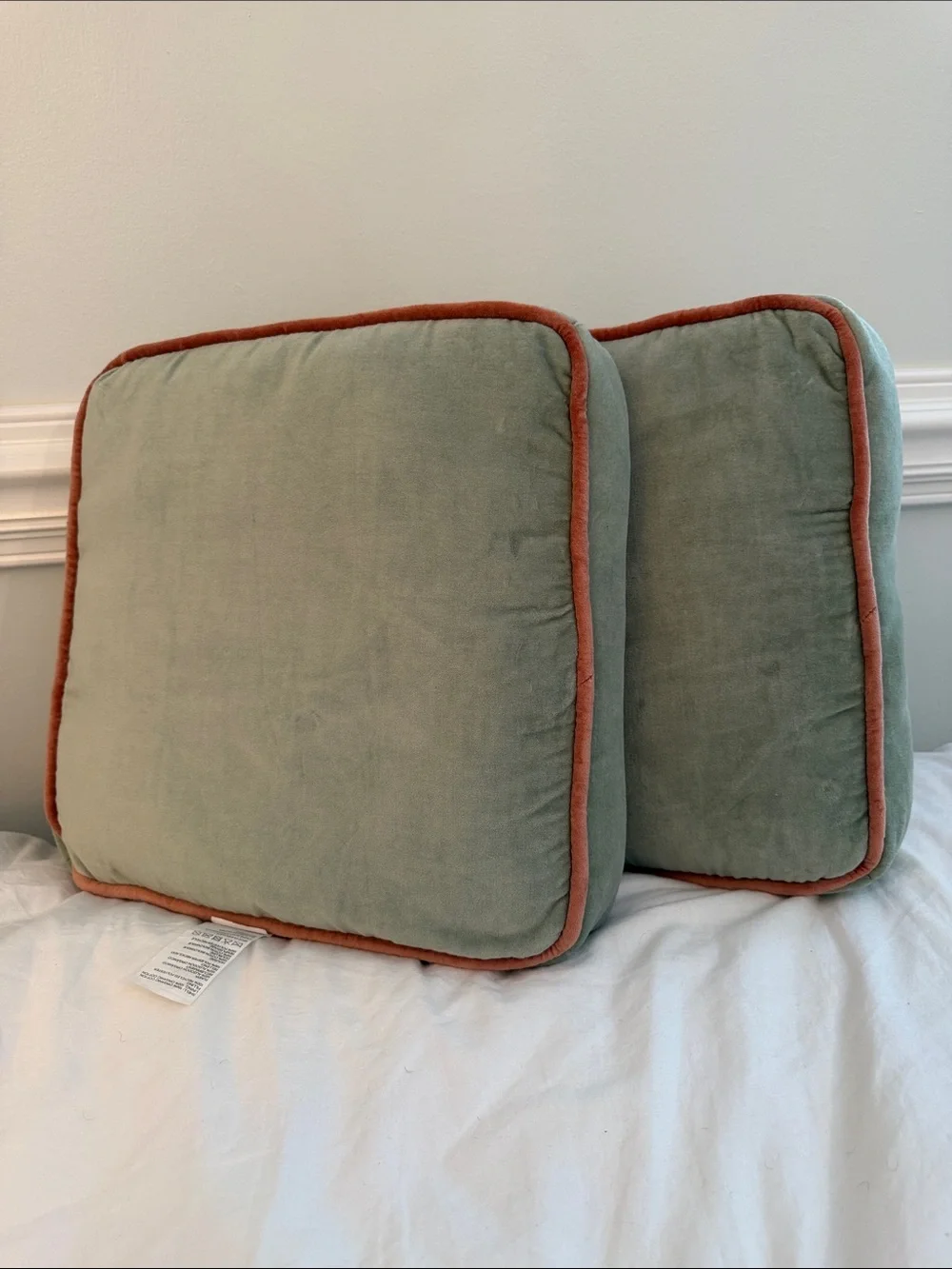 Crate & Barrel Harriet Velvet Square Pillow - A Pair